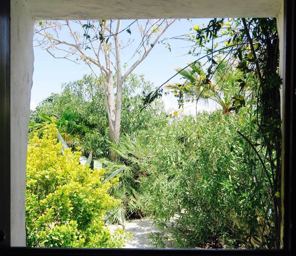 Cortijo Paraiso Charcon Higuera Esterno foto